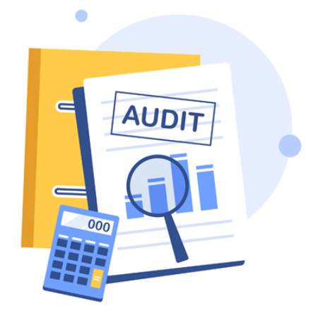 Audit Image
